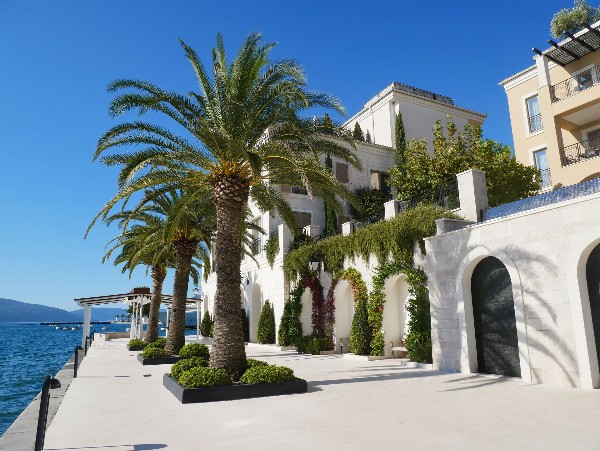 Palm-lined waterfront promenade beside elegant white Mediterranean buildings
